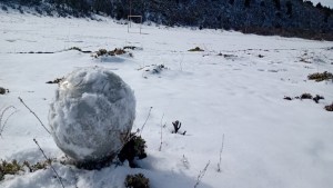 De jugar al fútbol en la nieve y el barro a soñar con un club: así entrenan los chicos de Villa Pehuenia