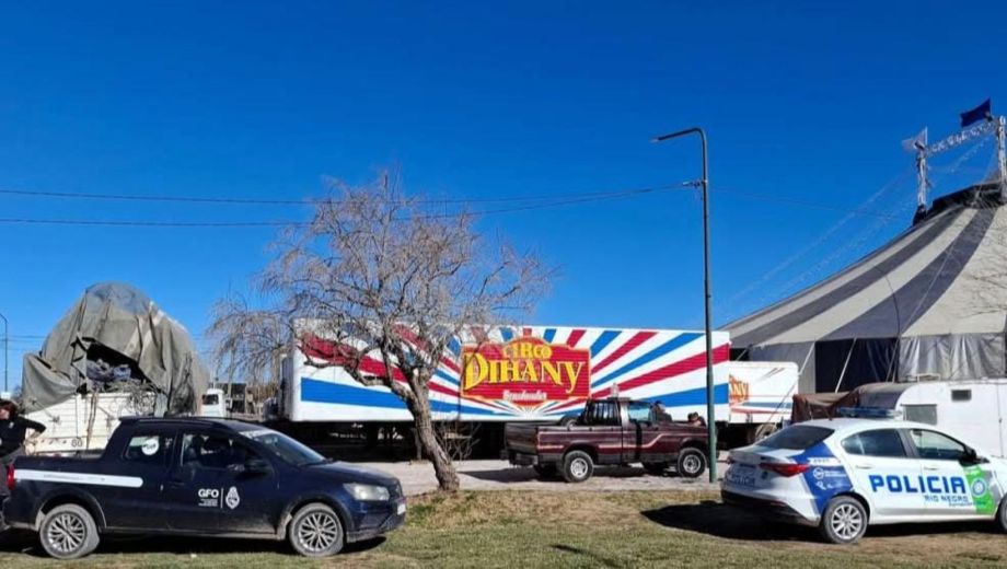 Un operativo de Zoonosis en Fernández Oro permitió rescatar a más de diez perros días atrás. Foto: Gentileza Inforo. 