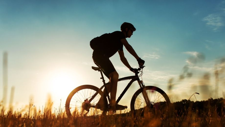 El colesterol se combate en movimiento: caminar, pedalear o bailar todos los días es una inversión directa en tu salud.

