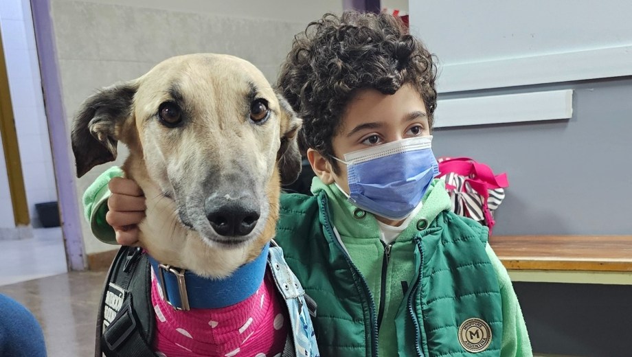 Gino y Burlete. Foto: Hospital provincial Neuquén.
