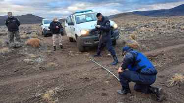 La esposa del hombre que cazó ciervos en su Pick Up denunció «abuso de autoridad» de la Policía de Río Negro: «Es todo mentira»