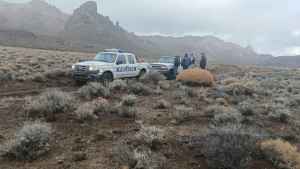 Cazador furtivo atrapado con ciervos en su Pick Up: operativo cerca de Dina Huapi terminó con multas