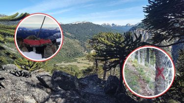 Indignación total en Neuquén: pintaron araucarias, rocas e instalaron «ilegalmente» una virgen en el cerro Impodi
