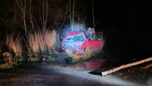 Impactante choque sobre la Ruta Chica en Cervantes: impactó con un caballo y el conductor se salvó de milagro