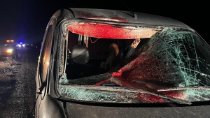 Chocaron violentamente contra un caballo en la Ruta 17 de Neuquén: «Siempre es la misma problemática»