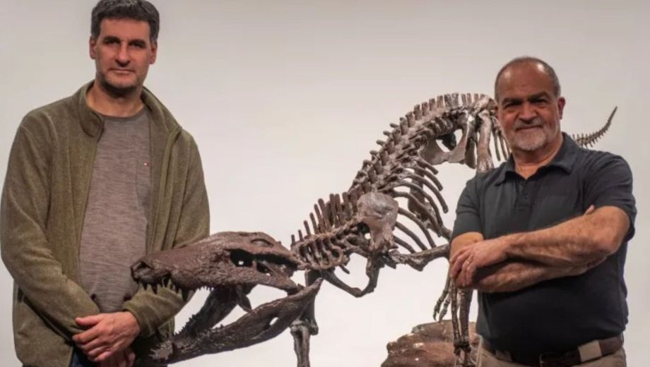 Kostensuchus atrox, un cocodrilo prehistórico que habitó en la Patagonia. Foto: Gentileza. 