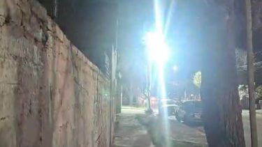 Gran apagón en Neuquén: una falla dejó a cuatro barrios sin luz, se normalizó ya el servicio