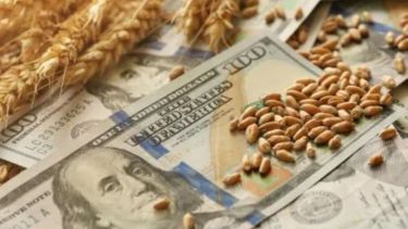 En plena escalada del dólar, el campo tuvo una liquidación récord: a cuánto cerró este viernes 1 de agosto