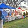 Imagen de Neuquén impulsa una ordenanza para prohibir las ferias "Saladitas" y regular emprendimientos informales