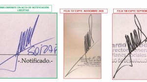 Estafa con planes sociales en Neuquén: Soiza desconoce su firma en algunos expedientes