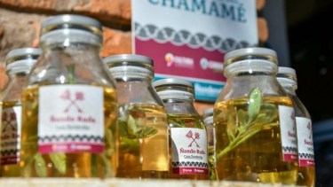 Caña con ruda: datos clave para entender el ritual que espanta las malas energías en agosto