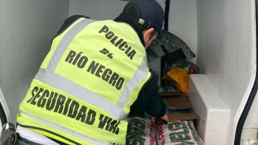 Viajaba con calamares en mal estado hacia San Antonio Oeste: le decomisaron la mercadería sobre Ruta 250