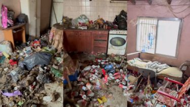 Video | Allanaron la casa de un acumulador de basura en Neuquén: rescataron ocho animales de la vivienda