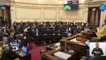 Video | Sesión especial en el Senado: aprobaron la emergencia pediátrica con foco en el Garrahan