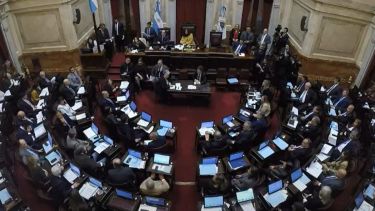 Cómo votaron los senadores de Neuquén, Río Negro y la Patagonia la derogación de decretos y un DNU de Javier Milei
