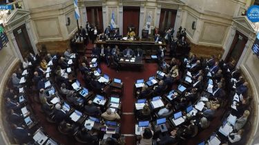 Cómo votaron los senadores de Neuquén, Río Negro y la Patagonia la ley de financiamiento universitario