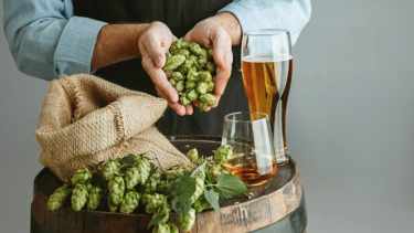 ¡Salud! El secreto del lúpulo que va más allá de la pinta
