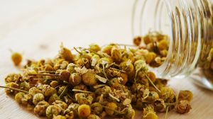 Manzanilla: el secreto natural que está conquistando a quienes buscan bienestar