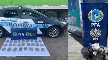 De Misiones a Neuquén, así envían droga por encomiendas: detectan dos casos similares en 48 horas