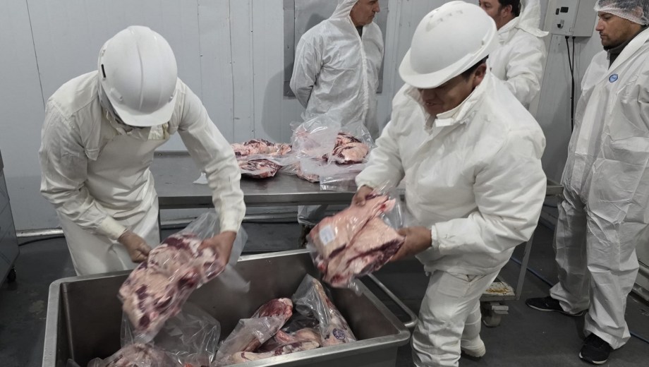 El trabajo de fraccionado en el matadero de Jacobacci.