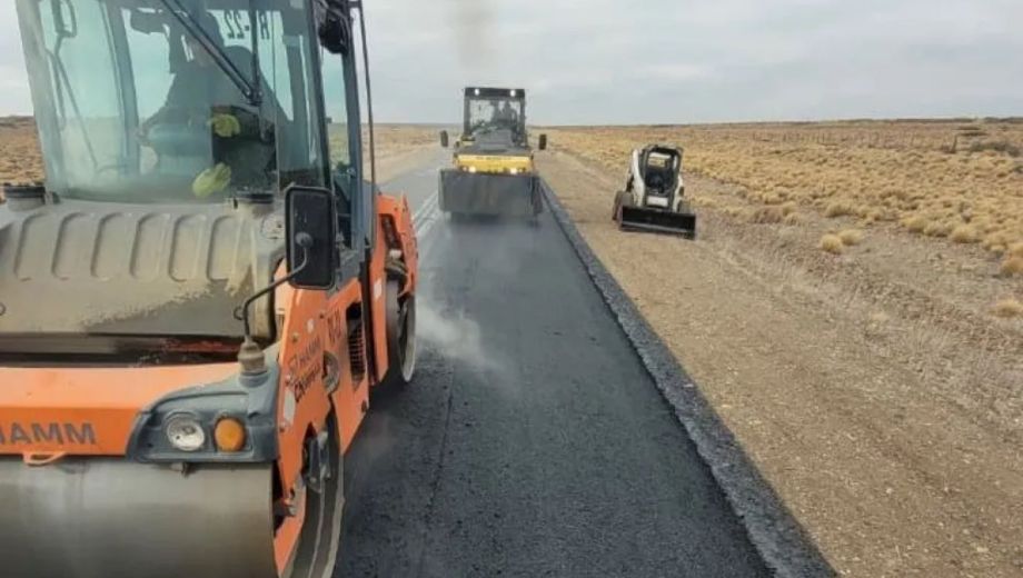 Región del Pehuén. Foto: Neuquén Informa. 