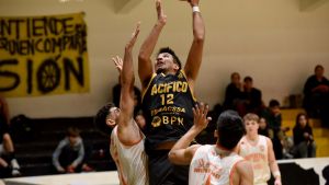 PreFederal de básquet: Pacífico y Roca tienen sus planteles definidos para la edición 2025