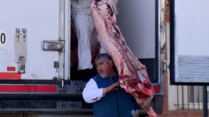 Barrera sanitaria en la Patagonia: qué falta para que comience a regir otra vez, según el fallo de la Justicia Federal 