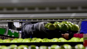 Las reformas que necesita la fruticultura vienen en los tanques del general Alais