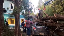 Imagen de Bariloche tras el temporal de viento: 330 llamados y usuarios siguen sin electricidad