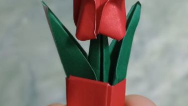 Fabio, el artista que deja origamis en los lugares más impensados de Roca