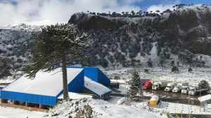 Precauciones en pasos fronterizos a Chile: información actualizada para el 17 de agosto 2025