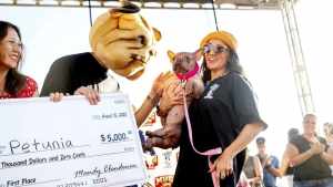 Así es Petunia, la ganadora de la edición 2025 del concurso  «El perro más feo del mundo»