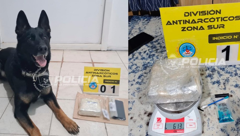 Detienen a un pasajero con más de medio kilo de cocaína en la Ruta 237: un perro detectó la droga