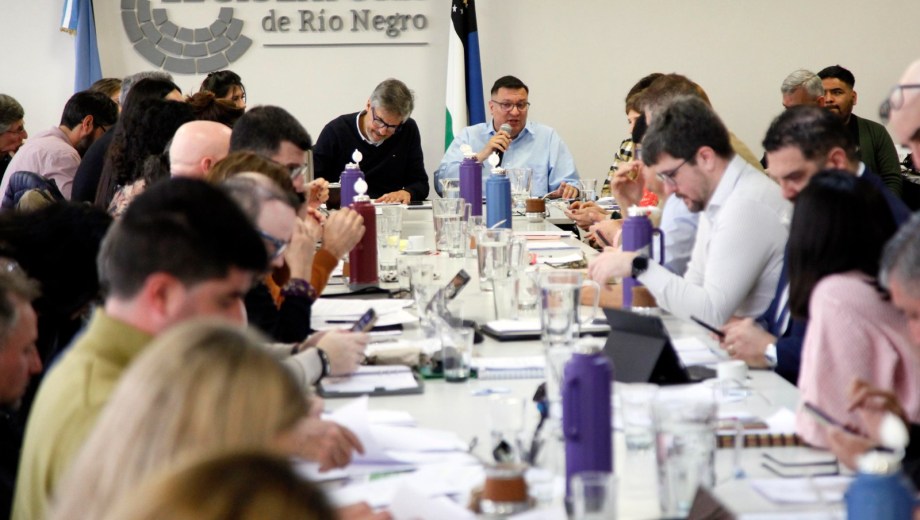 Los legisladores del bloque PJ-Nuevo Encuentro piden que se discutan proyectos de la oposición en la Legislatura de Río Negro. Archivo