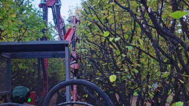 Poda mecánica en frutales, una herramienta que mejora la producción