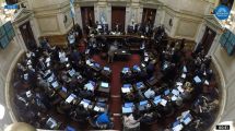 Imagen de Cómo votaron los senadores de Neuquén y Río Negro la emergencia pediátrica y de residencias médicas