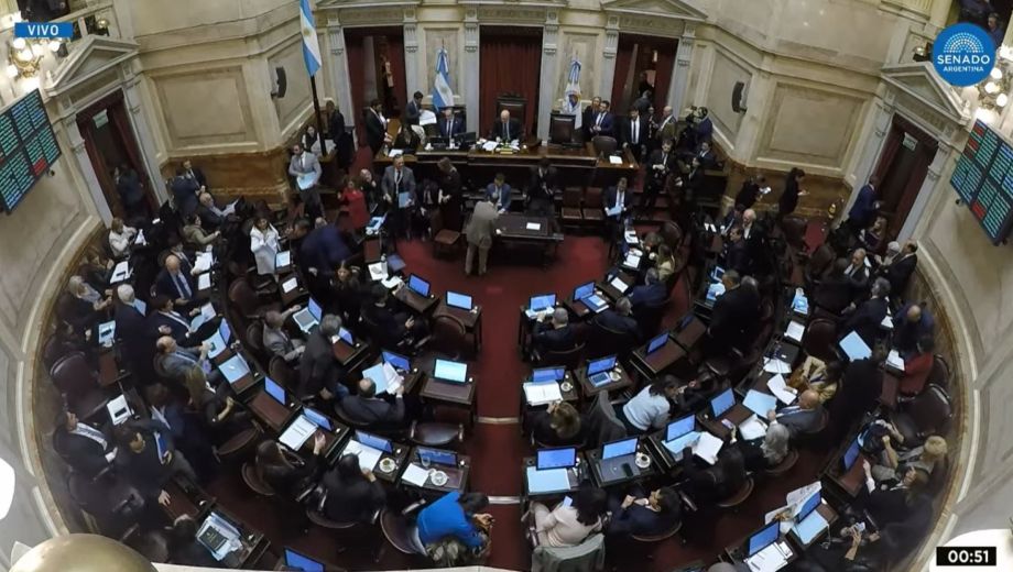 Se convirtió en ley la emergencia pediátrica. Foto. Captura Video Senado. 