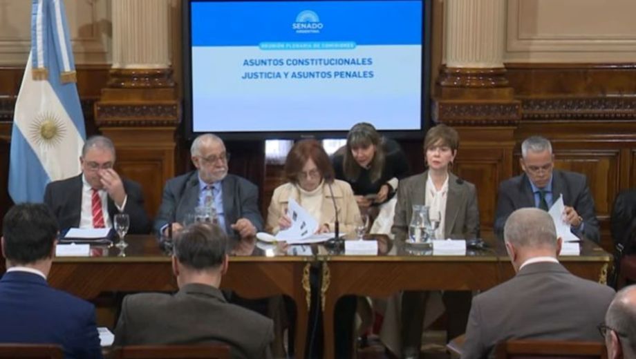 La reunión en comisiones este martes. Foto: gentileza El Parlamentario. 