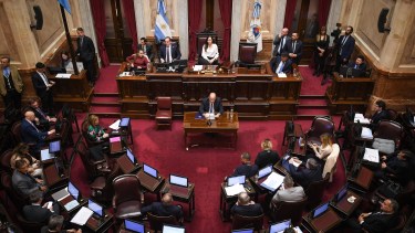 El kirchnerismo busca avanzar en el Senado con proyectos que complican al gobierno de Javier Milei