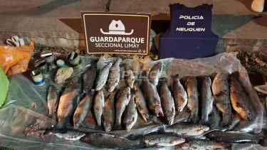 Neuquén: secuestran truchas en control sobre la Ruta 40 rumbo a Bariloche y aplican multas