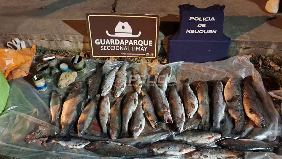 La carga secuestrada quedó a disposición de la Intendencia de Parques Nacionales. Foto: gentileza.