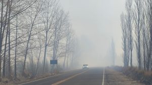 Fin de semana en el Alto Valle: entre el calor de 33°C y ráfagas constantes de viento
