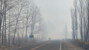 Tránsito complicado entre Allen y Roca: piden circular con precaución por la presencia de humo en la Ruta 65
