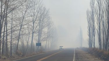 Fin de semana en el Alto Valle: entre el calor de 33°C y ráfagas constantes de viento