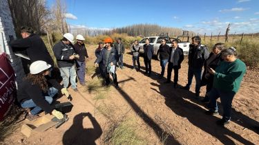 Una bodega de Neuquén inyectará energía solar a la red eléctrica: de qué se trata el primer «usuario-generador»