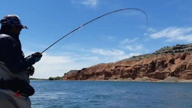 Villa El Chocón: vuelve el curso gratuito de pesca con mosca con salida práctica en la Boca del Sapo