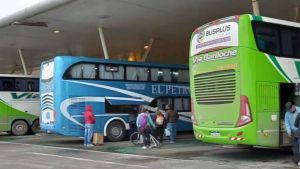 Escapadas de primavera en colectivo: destinos, precios y duración de viajes desde Neuquén