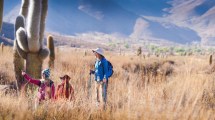 Imagen de Salta: aromas, colores y experiencias que se disfrutas a dos horas y media de Neuquén