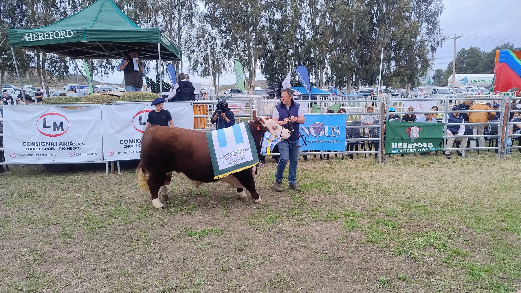 Expo Rural de Choele Choel: el broche de oro lo pusieron las ventas de ...