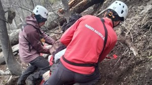 Rescataron a un hombre de 87 años tras sufrir un accidente con su caballo en la zona sur del parque Lanín